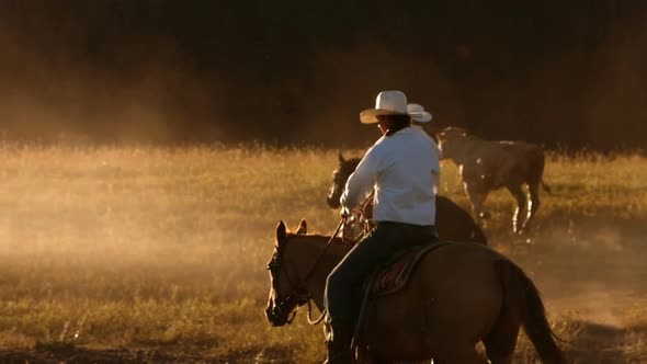 Cowboy on horses at sunset, slow motion