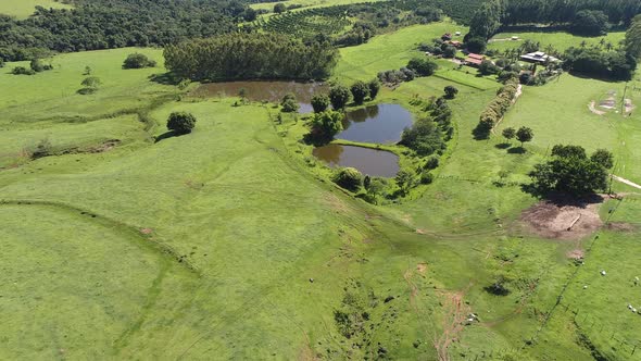 Rural landscape aerial view. Nature scenery