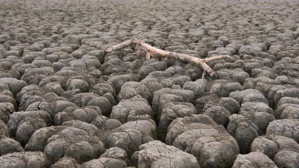 Huge Surface of a Very Dry Land Suffering From Drought, with a Piece of Dry Branch.