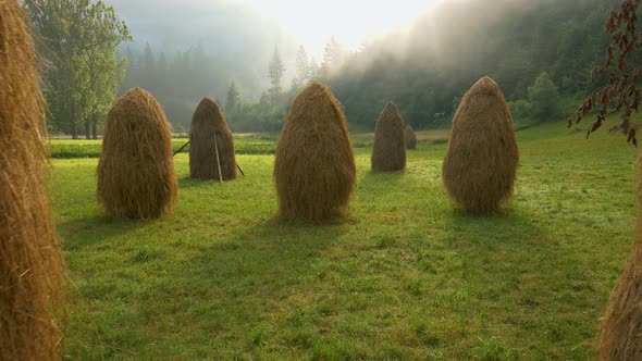 Gimbal Shot of Haystacks Harvested In Summer For Winter. Countryside, Eco Tourism and Rural