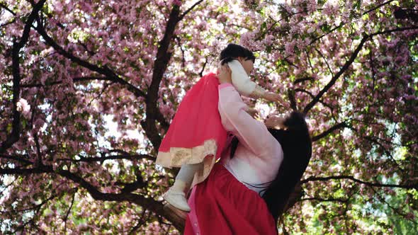 Korean Family Having Fun  Mather Lifts Daughter in His Arms in the Blooming Sakura Garden