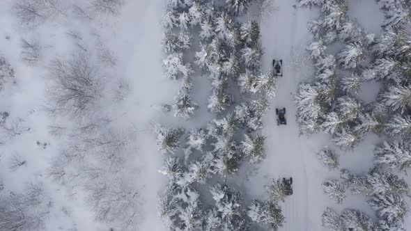 Snowy Forest Following Atv Vehicles Aerial View