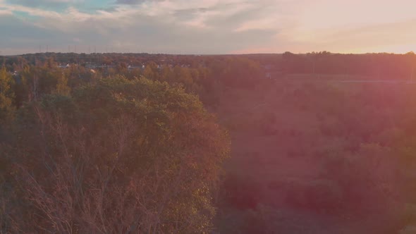 Slow aerial flight circeling over a tree outside nepean city, ontario at sunset with the sun shining