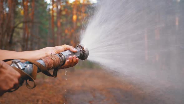 Men's Hands Hold a Fire Hose From Which Water Runs Under Pressure in Pine Forest