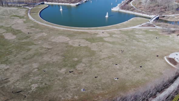 A slow descending aerial shot of people enjoying a sunny day at Art Hill in Saint Louis, Missouri.