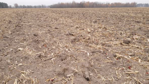 Empty Plowed Field in Autumn Aerial View