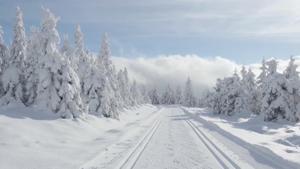 A Crosscountry Skiing Trail in a Snowcovered Winter Landscape with Trees