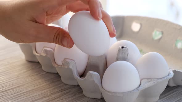 Chicken Egg on the Table