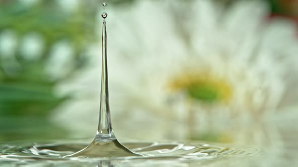 Super Slow Motion Shot of Colorful Floral Background with Droplet Falling Into Water at 1000 Fps