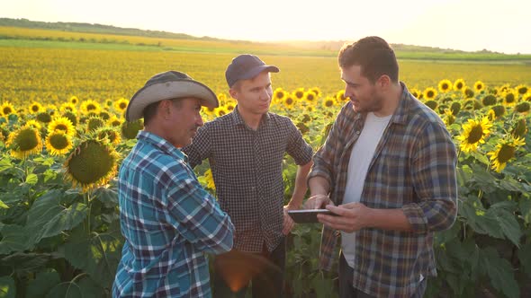 Agribusiness Concept Farmers and Businessman Shaking Hand