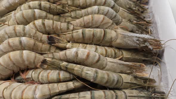 Frozen and Uncooked Shrimps Closeup in Box