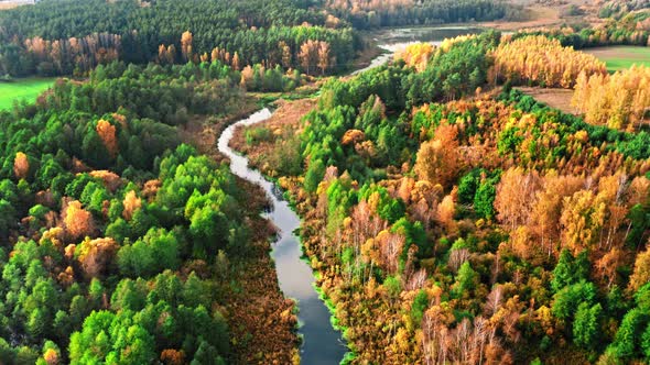 Forest and river at sunset in autumn, aerial view