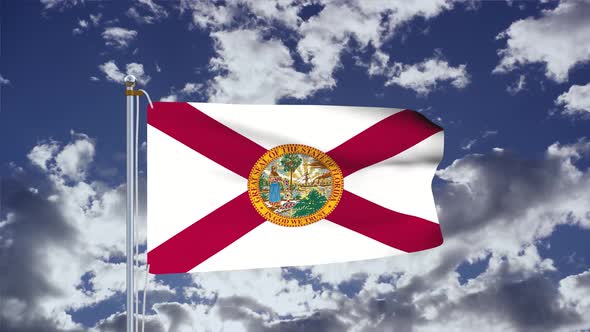 Florida Flag Waving 4k
