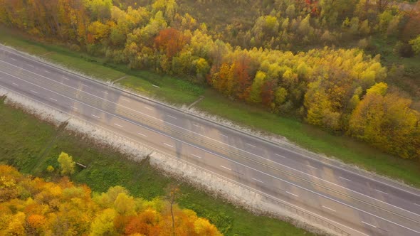 Top View of Empty Highway Surrounded By Bright Autumn Forest