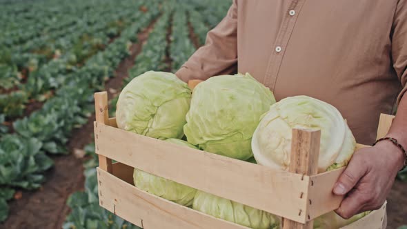 Man With Cabbage Heads