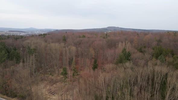 Aerial footage of not yet blossoming deciduous trees during an overcast spring day. Wide angle push