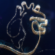 Human Heart Greetings // Heartistic - a Heart Opening Opener - VideoHive Item for Sale