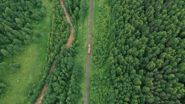 freight train passes by rail past the forest