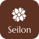 Seilon - Spa & Beauty Salon Elementor Template Kit - ThemeForest Item for Sale