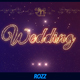 Wedding Celebrate - VideoHive Item for Sale