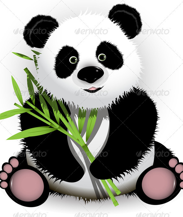 Gambar Fauna Panda