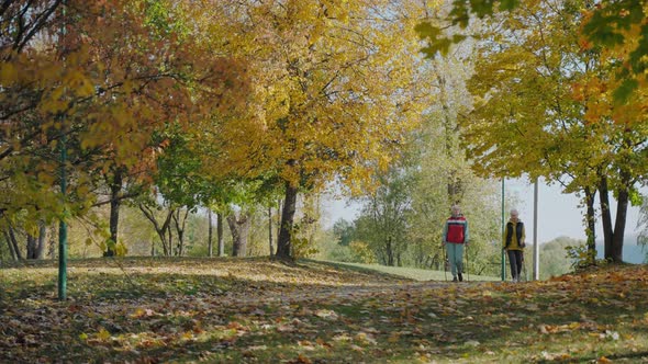 Two Aged Women Doing Nordic Walking in Beautiful Yellow Park on a Fall Sunny Day