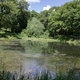 Summer Countryside Ambience