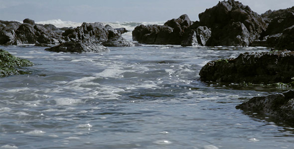 Ocean Tide Pool