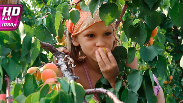 Girl Regales Apricot