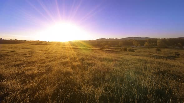 UHD Mountain Meadow Timelapse at the Summer