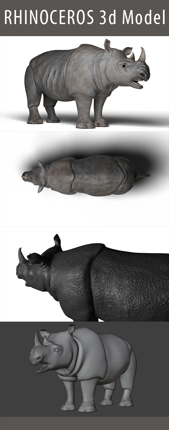 Rhinoceros 3d Model