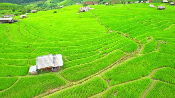 Drone view during golden hour of a rice terrace