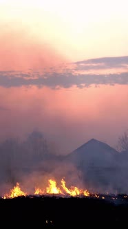 Burning Grass on Meadow or in Field Near Village at Sunset