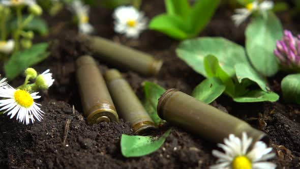 Bullet casings fall to the ground and chamomile flowers. Slow motion.