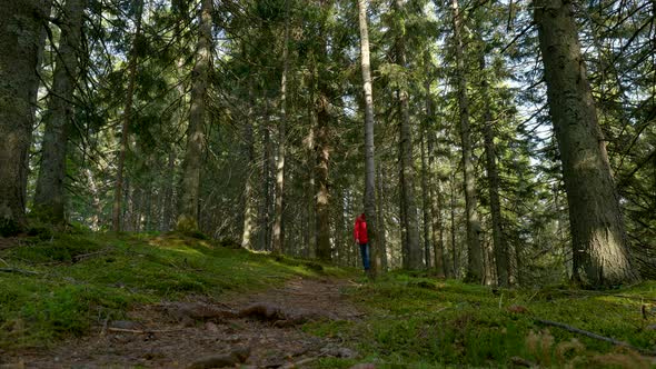 Tourist Guy with a Backpack Walks Along a Trail in a Beautiful Forest