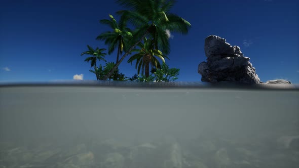 Brown Muddy Water and Palms on Island alt