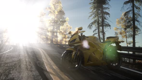 Sportbike on Tre Road in Forest with Sun Beams