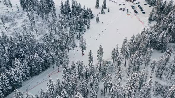 Tourists Ski On The Mountain Resort In Bialy Potok Town In Poland During Winter Season. aerial