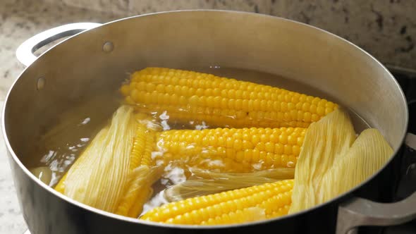 Boiling Corn at the Pan