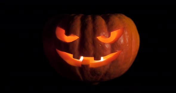 Halloween Pumpkin isolated on Dark Background