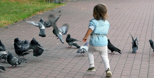 Child and Pigeons alt