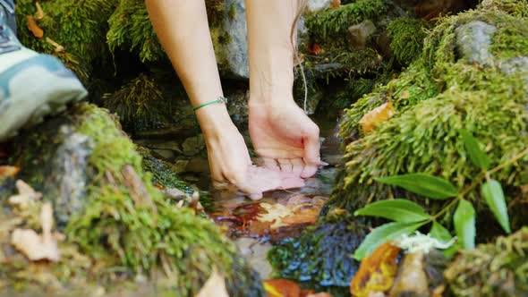 Female Hands Scoop Up Clear Water From Spring