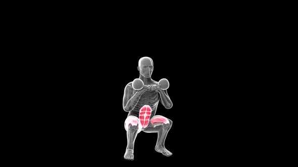 Double Kettlebell Squat