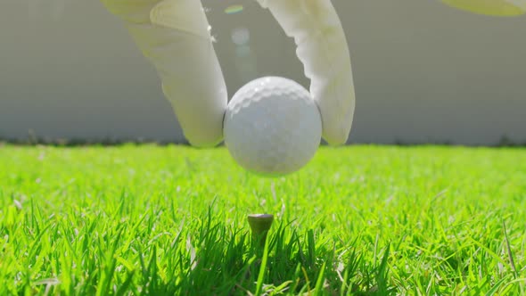 Golfer Placing Golf Ball on the Tee at Golf Course