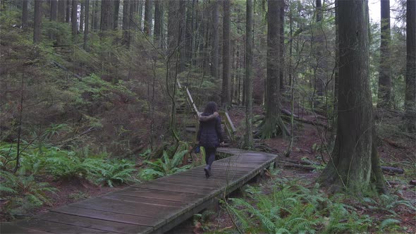 Girl Walking in the Canadian Rain Forest