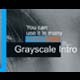 Grayscale Intro - VideoHive Item for Sale