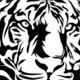 Tigerhead Vector - GraphicRiver Item for Sale