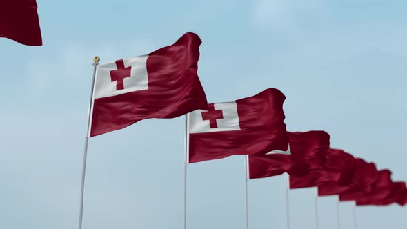 Tonga Row Of Flags 