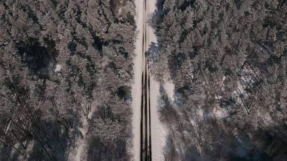 Top Down Aerial View Drone Flight Forward Over the Small Rural Road and Forest at Sunny Winter Day