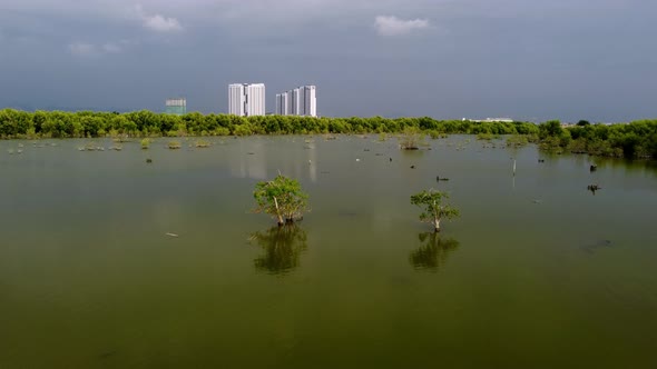 Slowly move over mangrove swamp in cloudy day